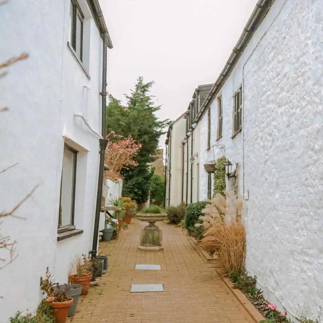 A lane of period cottages of the kind found across North Devon